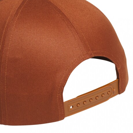 Gorra adidas Skateboarding BRONZE
