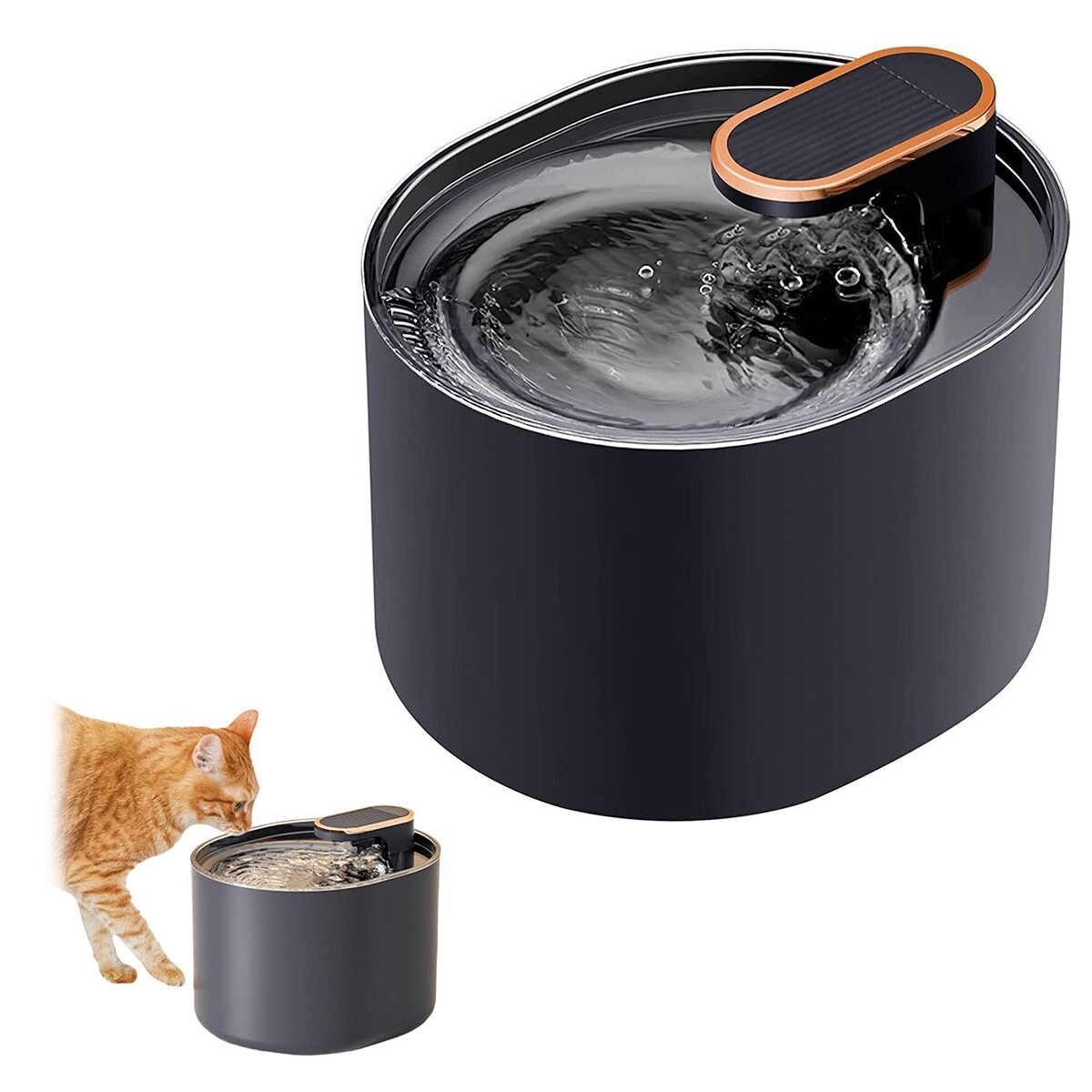 Fuente Bebedero Para Mascotas Agua Fresca Para Perro Gato - Color Variante Negro 