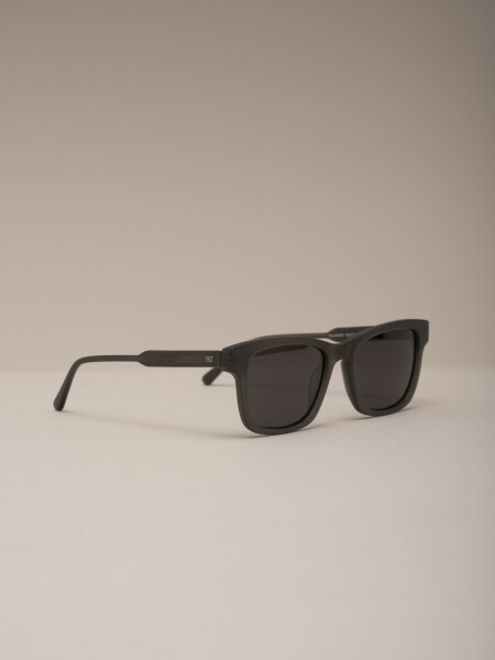 SUNGLASSES DAMON GRIS