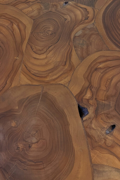 RAIZ MESA DE LIVING RAIZ 140X80X40H CM