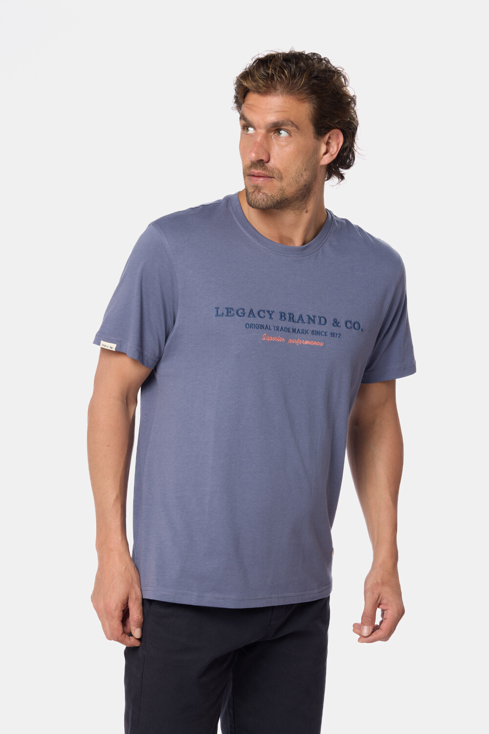 REMERA ESTAMPADA Lila