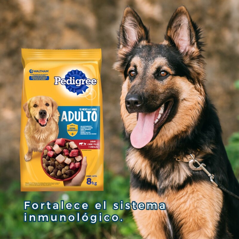 PEDIGREE PERROS ADULTOS 21 KG + 3 KG DE REGALO