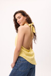Top Salt Amarillo