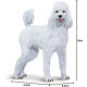 Caniche Safari 100063 Caniche Safari 100063