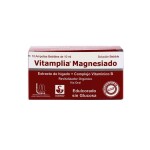 VITAMPLIA MAGNESIADO BEB. CJ X 10 AMPOLL única