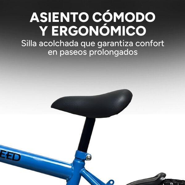 Bicicleta Infantil Shengdi R16 Canasto Parrilla Guardabarros Azul 1
