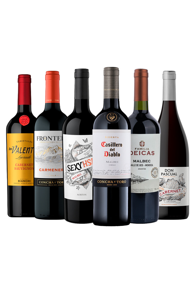 Pack Bacán Selección Los más elegidos por su confiabilidad y accesibilidad x6 vinos 
