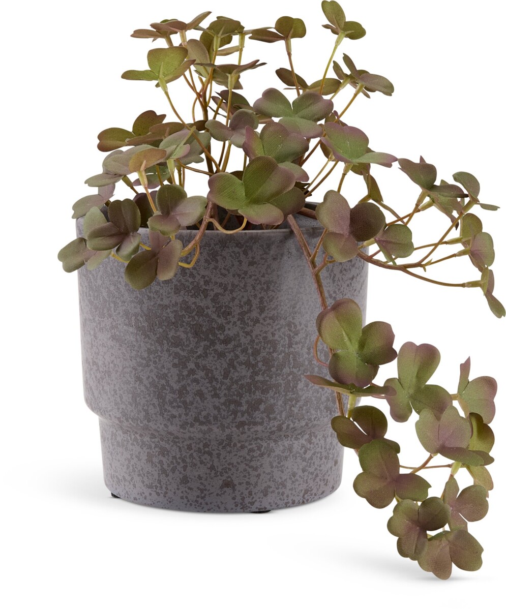 Maceta THORFINN Ø13xA13cm gris 