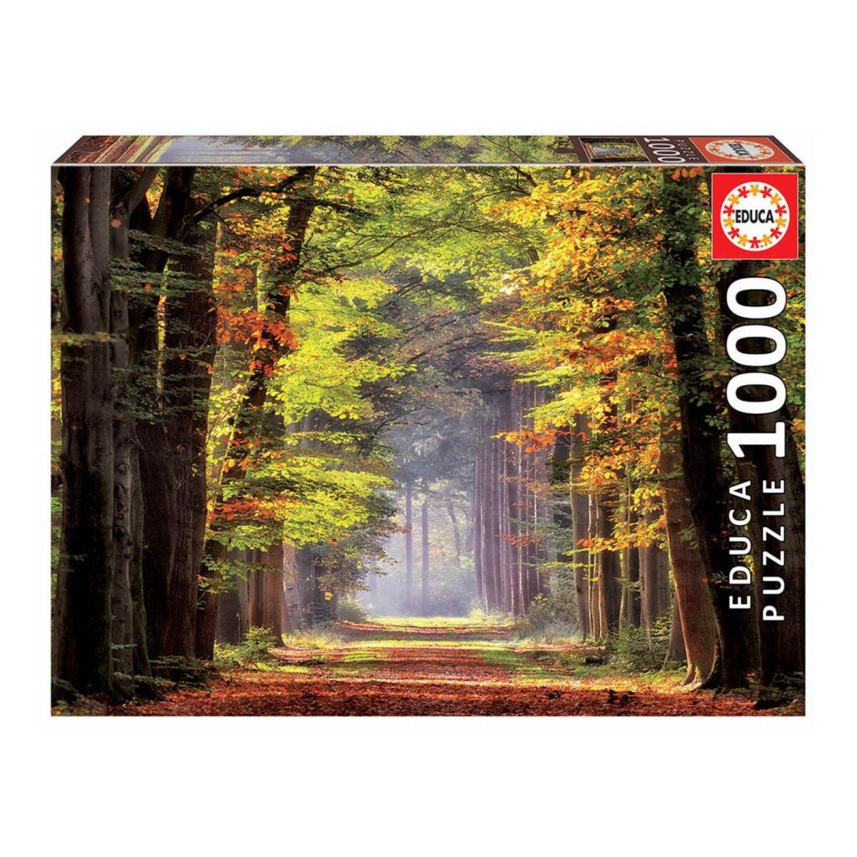 Rompecabeza Puzzle Educa Paseo Otoñal Arboles 1000 Piezas 