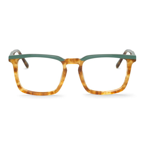 Mr Boho Belcher col ACACR53-00 Branch Mr Boho Belcher Col Acacr53-00 Branch