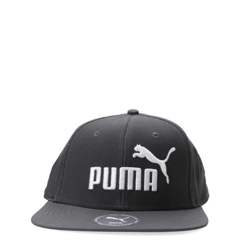 Gorro Puma Logo Flat Brim Gris