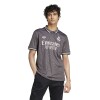 Camiseta Adidas Tercer Uniforme Real Madrid 24/25 Gris