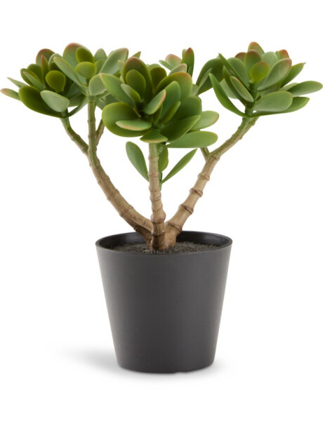 Planta artificial JOSTEIN H23 cm verde Planta artificial JOSTEIN H23 cm verde