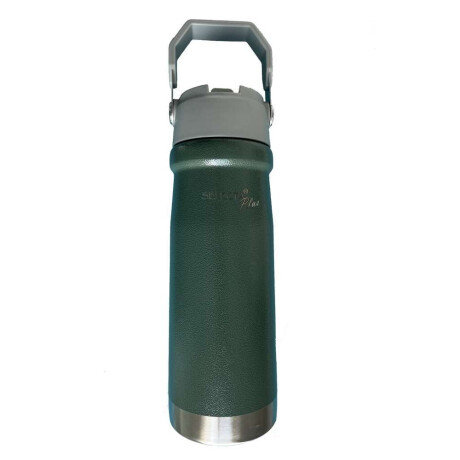 BOTELLA TERMICA DOBLE PARED 650ML VERDE