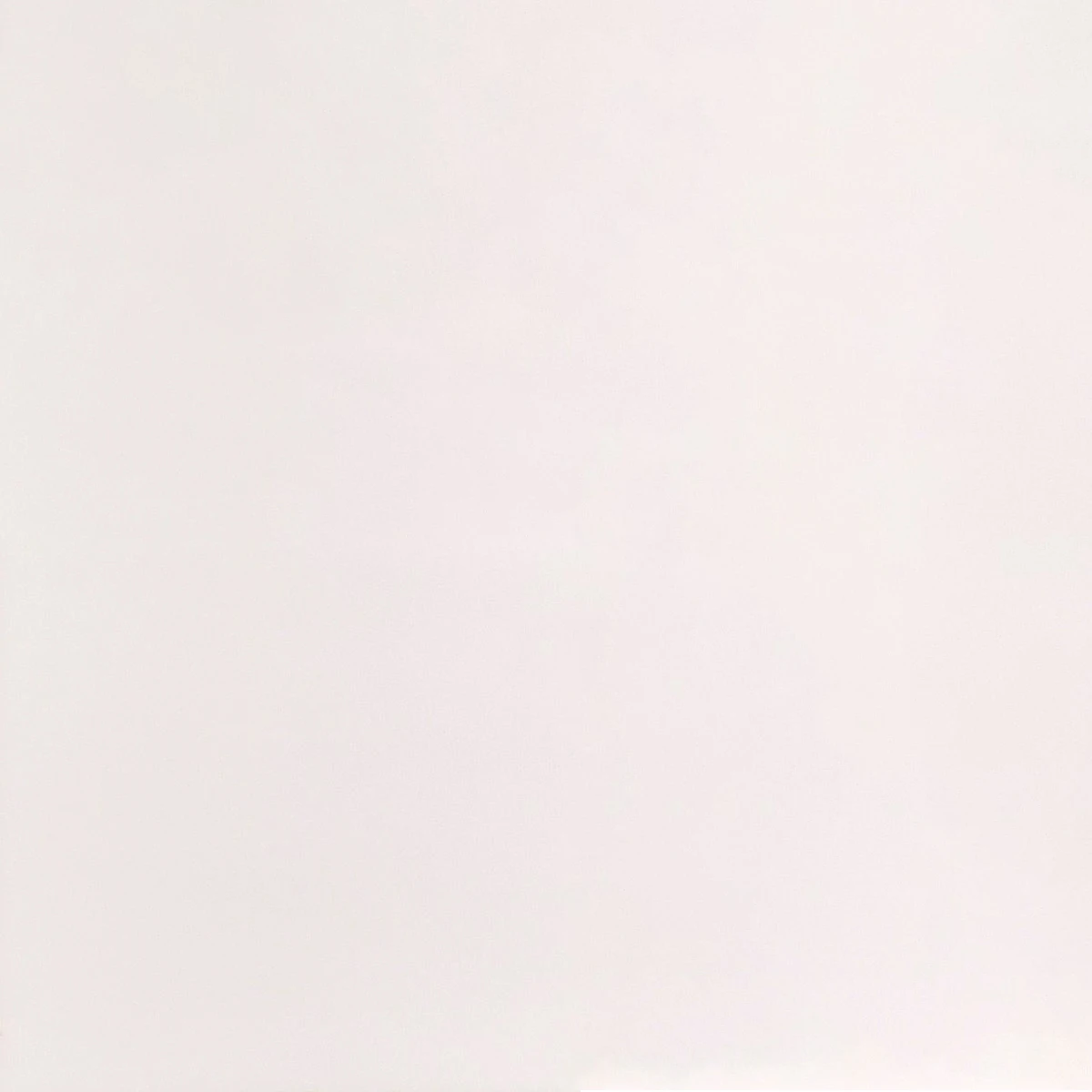 Porcelanato Blanco Mate Rectificado 60X60 Cm Piso Pared 