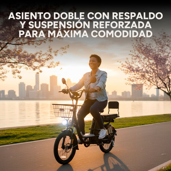 Bicicleta Electrica GoGreen Delivery R20 350w Bateria 26Ah Color Negro