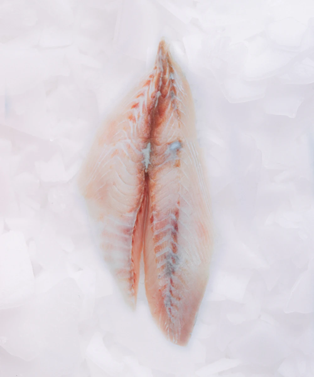 Filete de Palometa - 500 g 