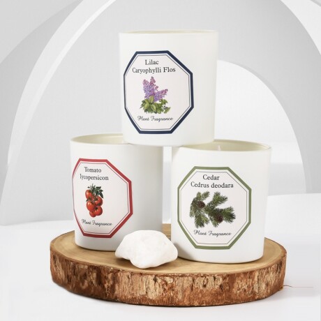 Vela Aromática En Vaso De Vidrio Lilas