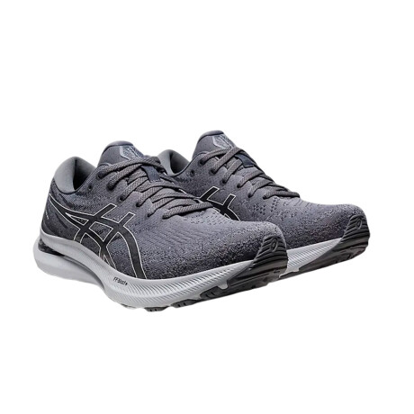 Championes Asics Gel-Kayano 29 Grey