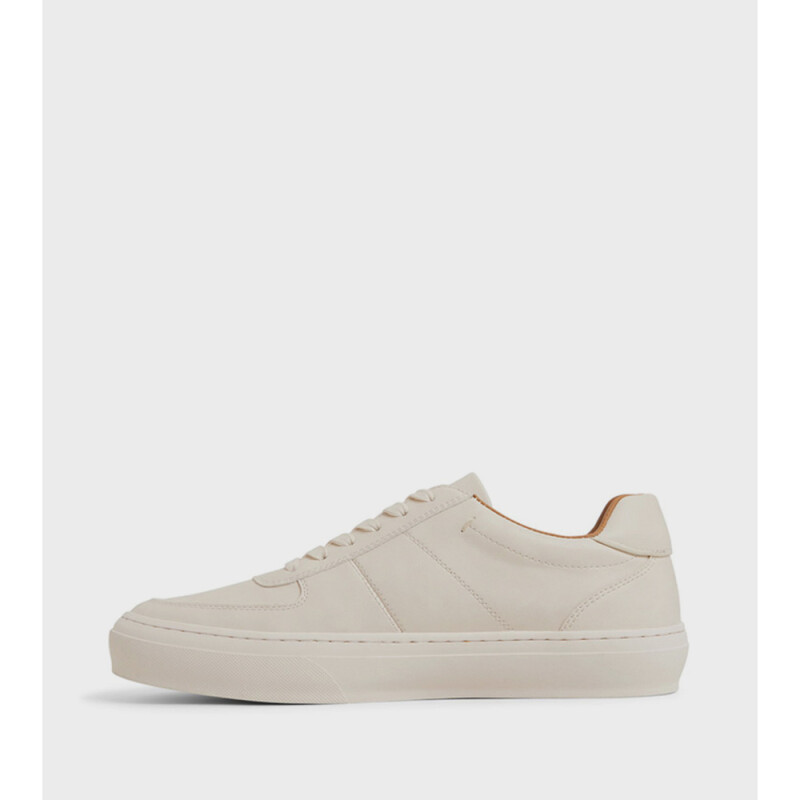 REGUS BONE SYNTHETIC BONE