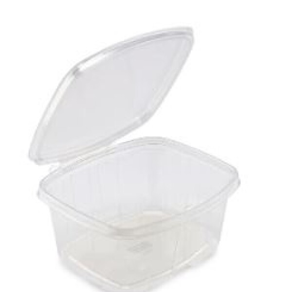 POTE BISAGRA PET RECTANGULAR CON LACRE 970 ML 18,3 x 15,5 x 6,6 CM TRANSPARENTE
