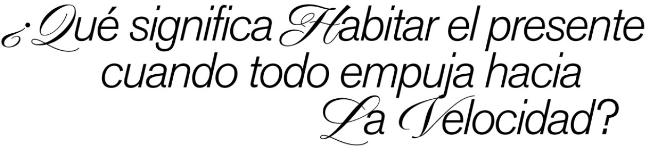 2-blog-frase.jpg