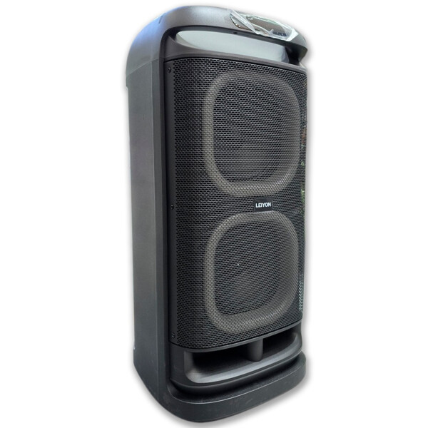 Parlante Leiyon Ly 08d30 Doble 8" PARLANTE LEIYON LY 08D30 2 X 8"