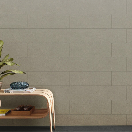 CERAMICA PARA PARED GRIS MATE RECTIFICADO ESPESOR 7.5MM 30X90 BALDOCER 000