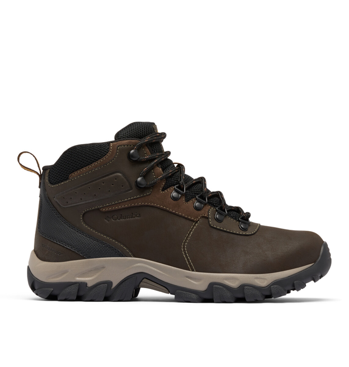 Championes Newton Ridge Plus II Hombre - Cordovan, Squas 