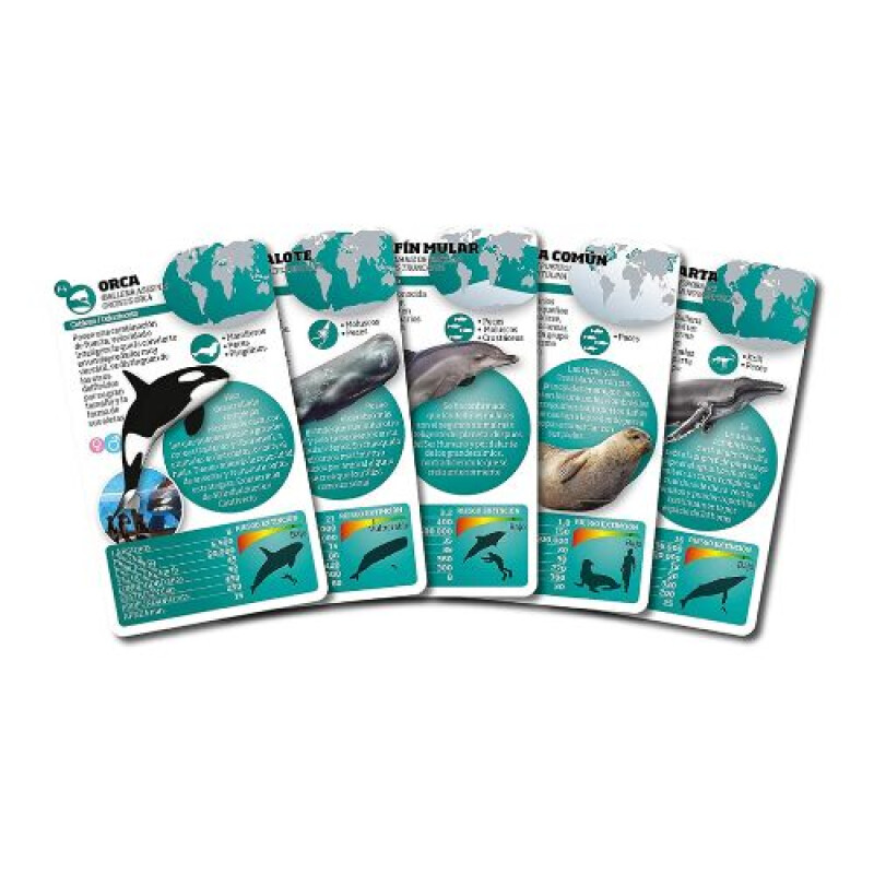 Luminias Enciclopedia De Animales - Mamíferos Marinos Luminias Enciclopedia De Animales - Mamíferos Marinos