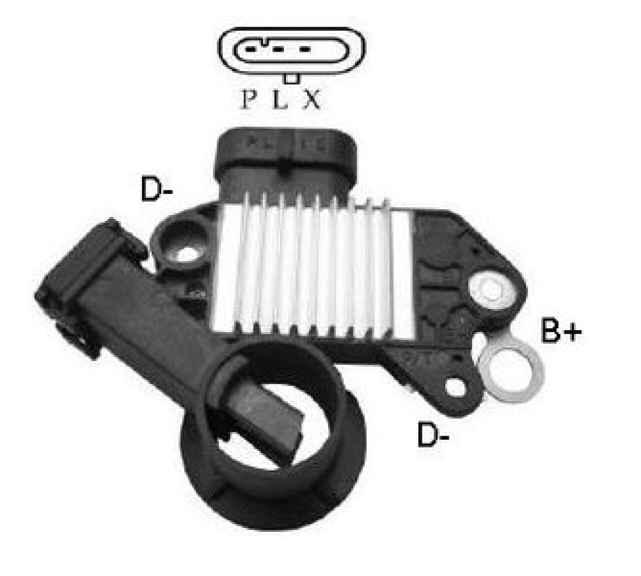 rgik5950.jpg