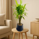 Planta Artificial 40cm Planta Artificial 40cm