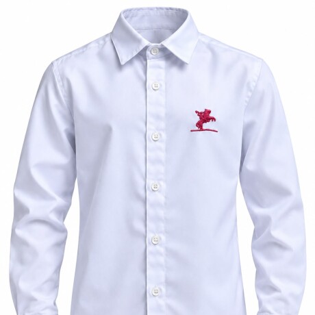 Camisa Bordada Niño Camisa Bordada Niño