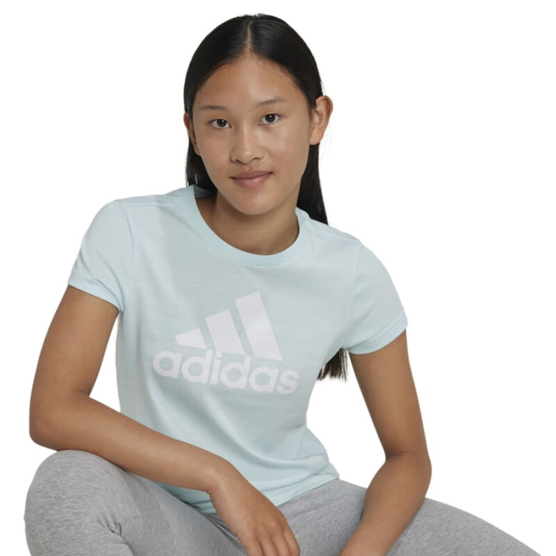 Remera Adidas Essentials Logo de Niños - IZ3468 Menta-blanco