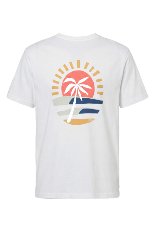 Remera O'Neill Og Dusk Blanca Remera O'Neill Og Dusk Blanca