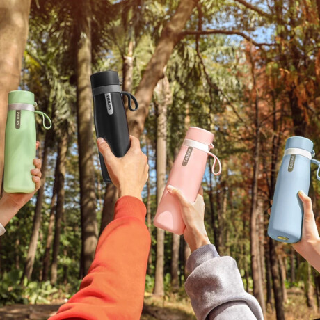 Botella con Filtro Purificador Philips Gozero 550 ml Inoxidable Gris
