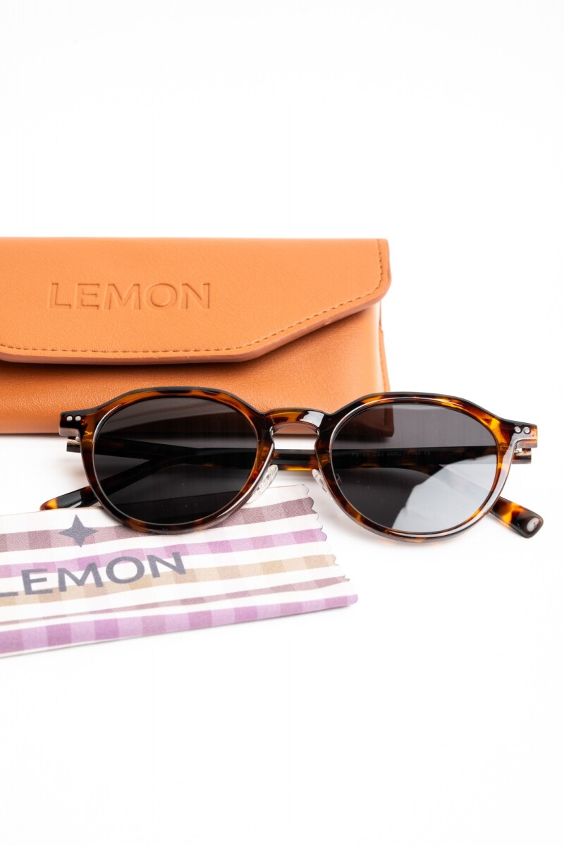 Lentes De Sol Polarizados Marron
