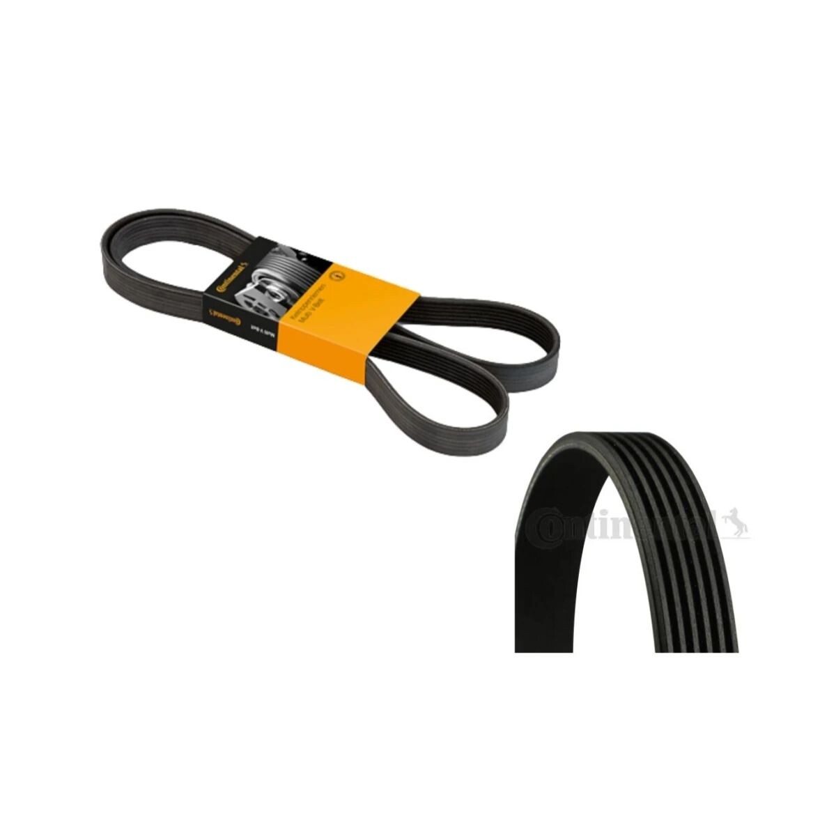 CORREA DE ACCESORIOS 