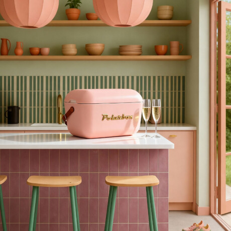 Conservadora Térmica Retro 20L Polarbox Playa Camping Viajes Coral Gold