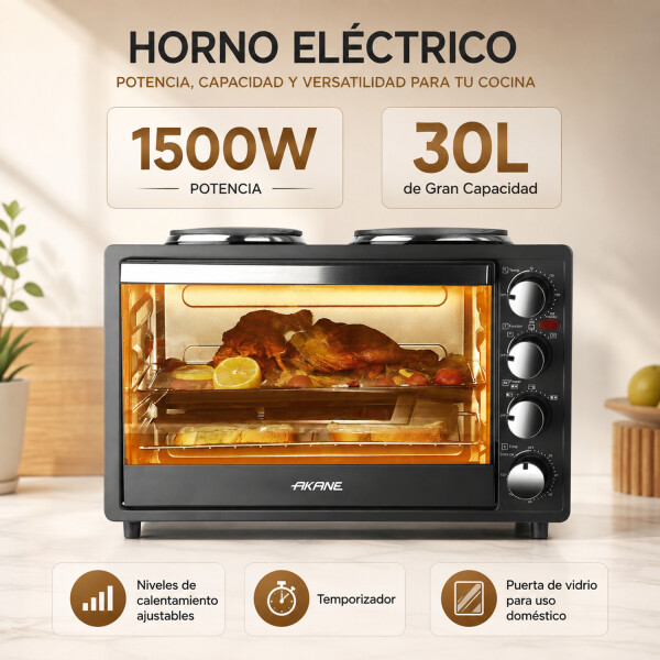 Horno Eléctrico 30 L Con 2 Discos A.81051 HORNO ELECTRICO 30L AKANE C/ANAFE 81051
