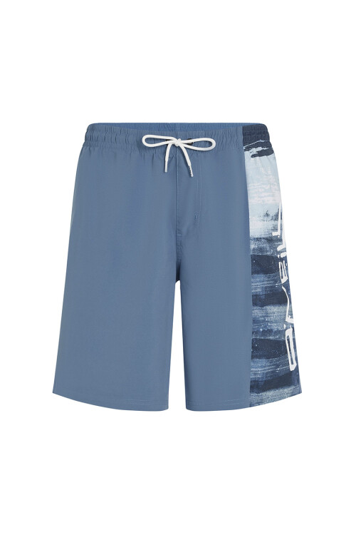 Short O'Neill Retro Print Azul Short O'Neill Retro Print Azul