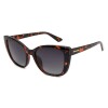 Lentes de Sol Chilli Beans Florida Cat Animal Print