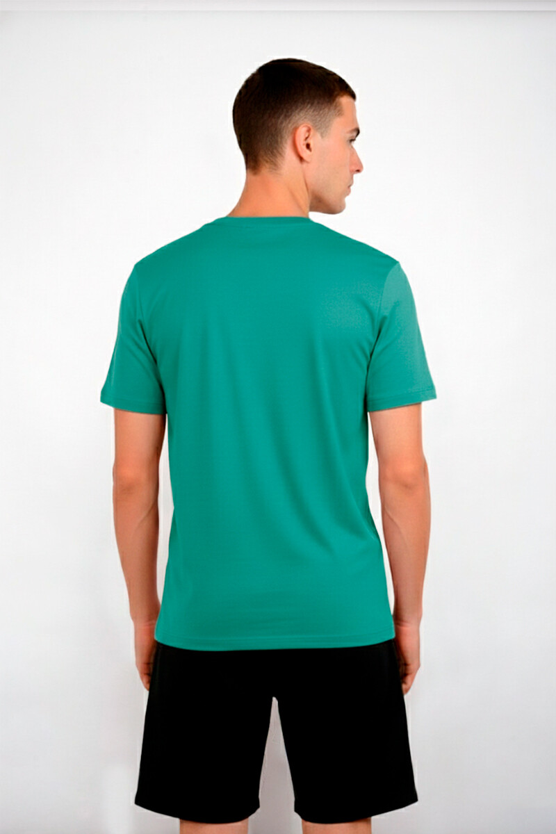 Remera Palmer Verde