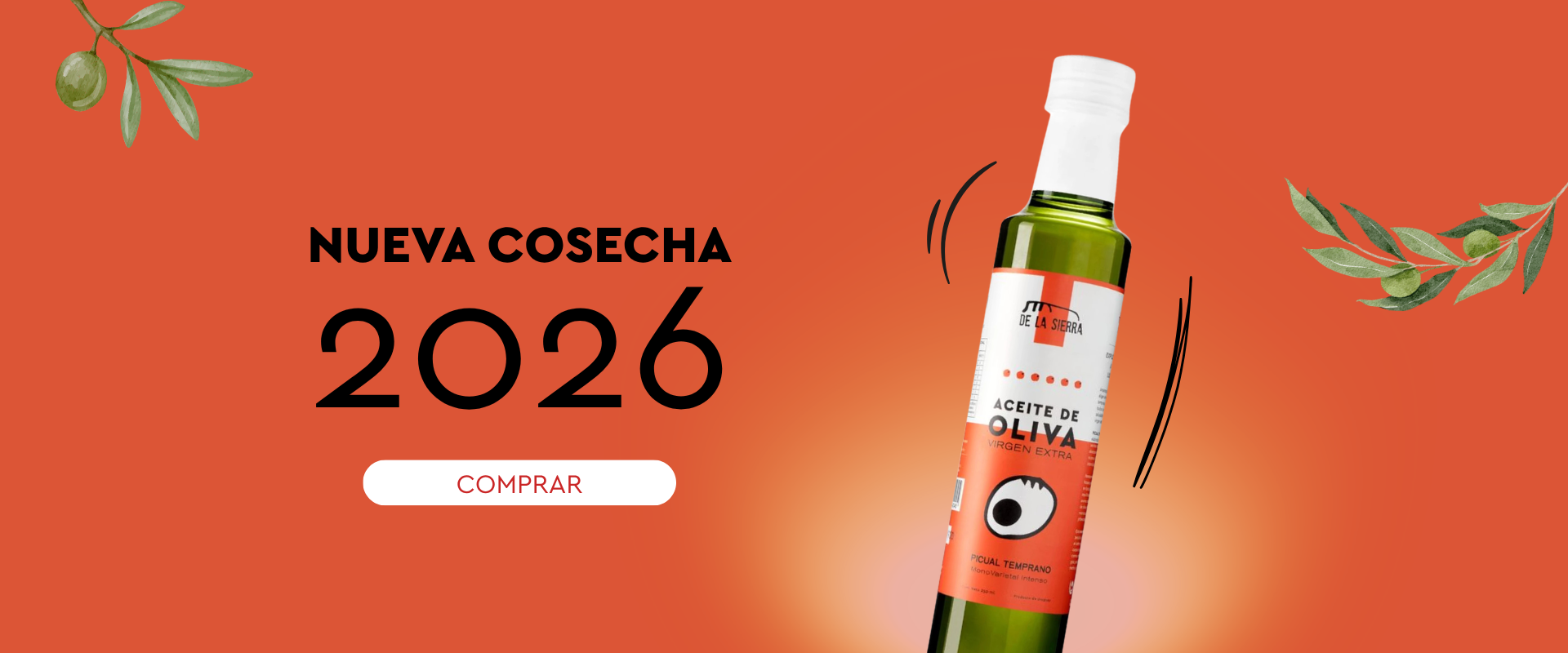 Picual Temprano Nueva Cosecha