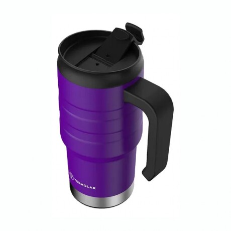 JARRA TERMICA TERMOLAR 590ML Jarra Térmica TERMOLAR Capacidad 590Ml - Violeta