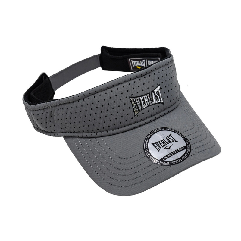 VISERA EVERLAST LASER GY GY