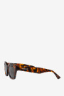Barrosa Cheetah Tortoise Crudo