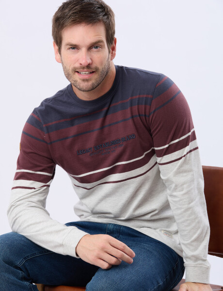 REMERA RAYADA BORDADA Azul