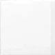 Ceramica Blanca Plano Brillo 20X20Cm Piso Pared GAMAS DE BLANCO