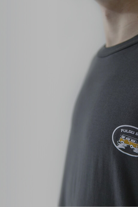 Remera Pulau Combi Gris